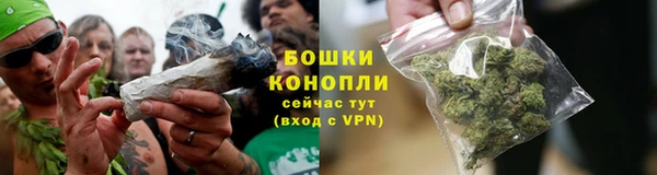 бутират Дмитриев