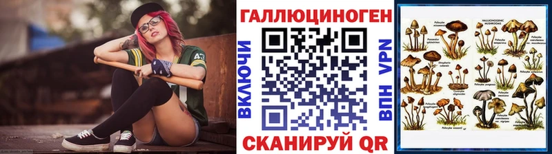 Купить где  Усть-Джегута  Галлюциногенные грибы Psilocybine cubensis 
